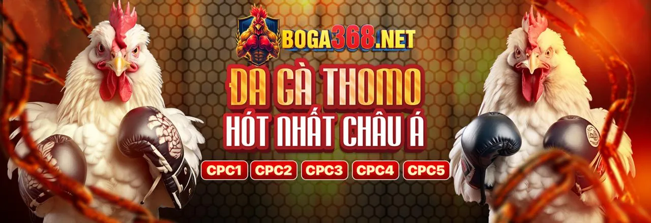 Đá Gà Trực Tuyến OK272