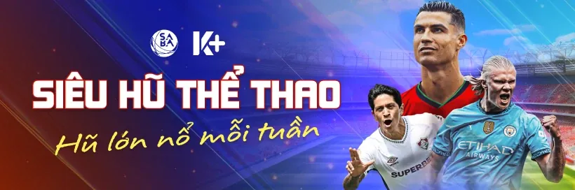 Hoàn trả VIP